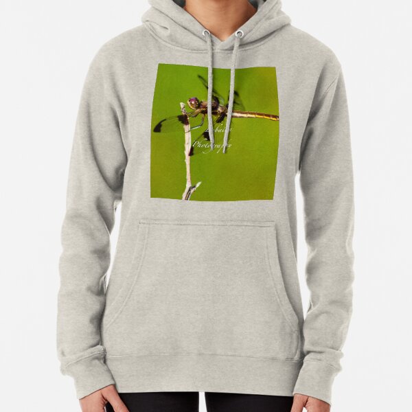 Dragonfly of the enchanted forest by Yannis Lobaina Pullover Hoodie
