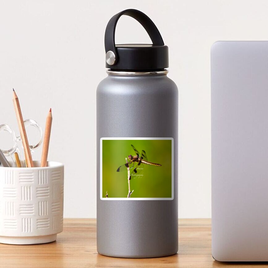 Dragonfly of the enchanted forest by Yannis Lobaina Sticker