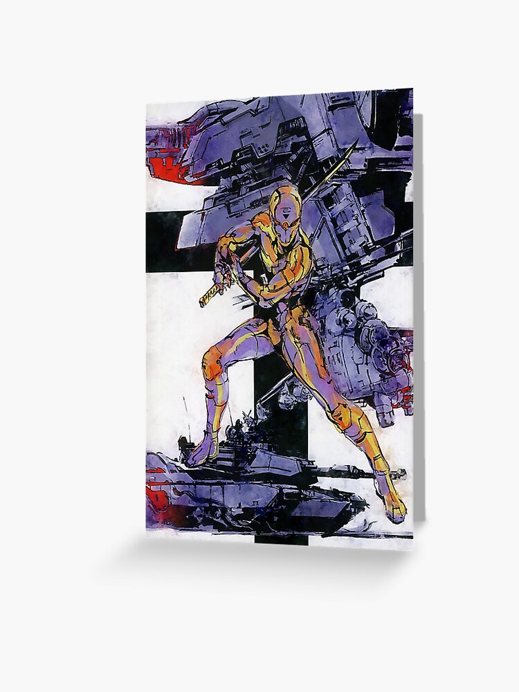 Grey Fox
