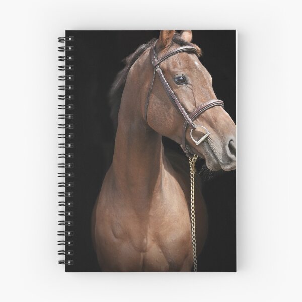 Item preview, Mousquetaire designed and sold by theartsyeq.