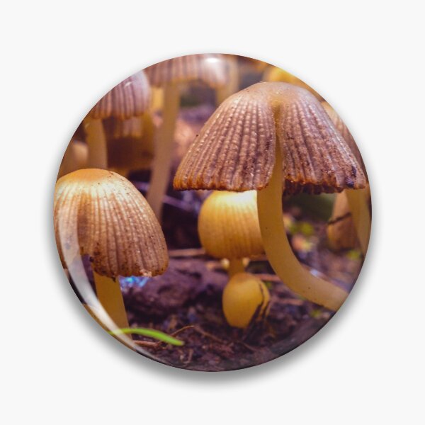 Item preview, Mysterious Mushrooms  designed and sold by JustAnEffigy.