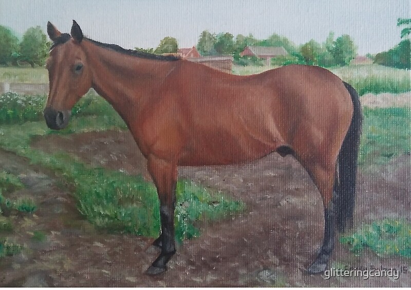 “Bay Thoroughbred horse” by glitteringcandy | Redbubble