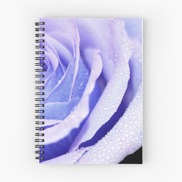 Item preview, Bold Rose - Violet designed and sold by RaggedRose Photography.