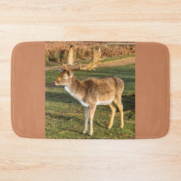 Item preview, Red Deer at Bushy Park designed and sold by Dave Williams.