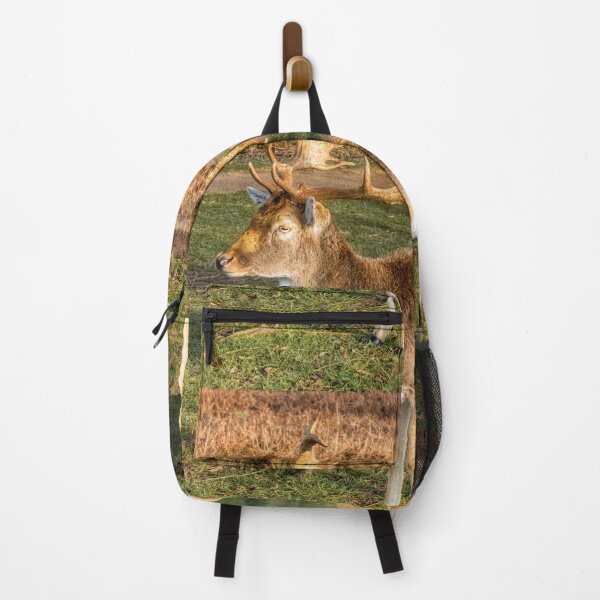 Item preview, Red Deer at Bushy Park designed and sold by Dave Williams.
