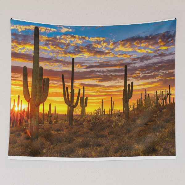 Item preview, Cactus Desert Sunset designed and sold by MrRoccoBlue.