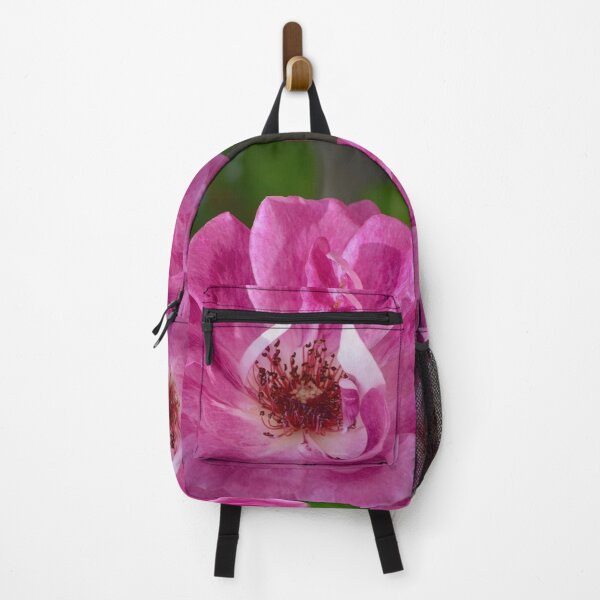 Item preview, Fuchsia Rose designed and sold by Lynda Anne Williams.