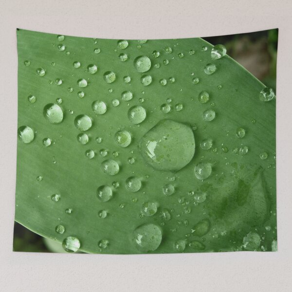 Item preview, Waterdrops on leaf designed and sold by melo.
