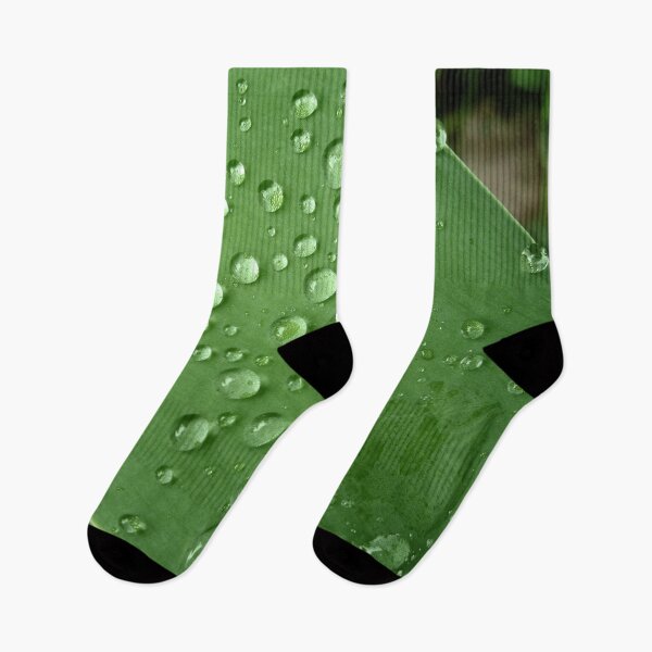 Item preview, Waterdrops on leaf designed and sold by melo.