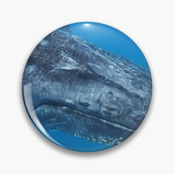 Item preview, Smiling Whale designed and sold by Mark Whittle.