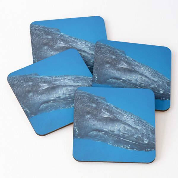 Item preview, Smiling Whale designed and sold by Mark Whittle.