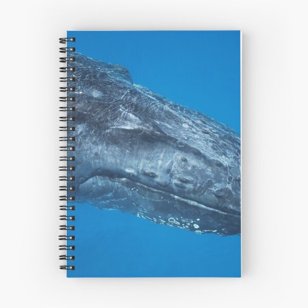Item preview, Smiling Whale designed and sold by Mark Whittle.