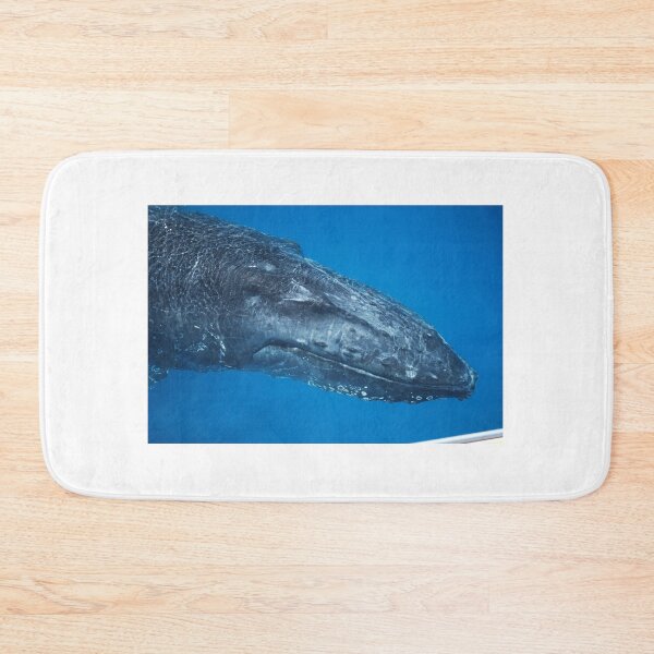 Item preview, Smiling Whale designed and sold by Mark Whittle.