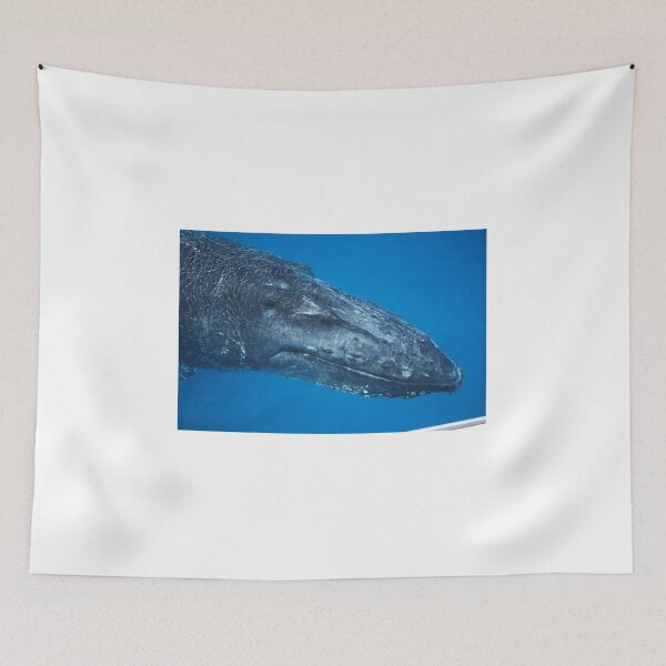 Item preview, Smiling Whale designed and sold by Mark Whittle.