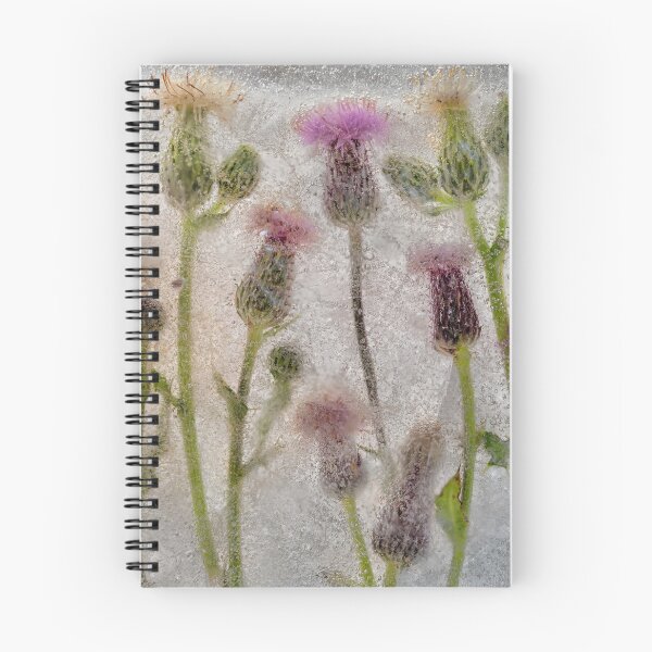 Item preview, Field of Thistles designed and sold by Phil Buckle.