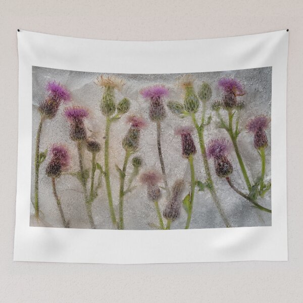 Item preview, Field of Thistles designed and sold by Phil Buckle.