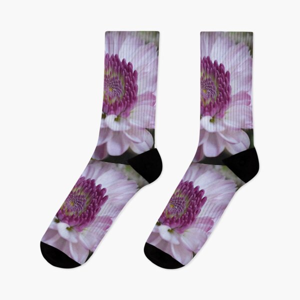 Item preview, Dahlia rosa designed and sold by Lynda Anne Williams.