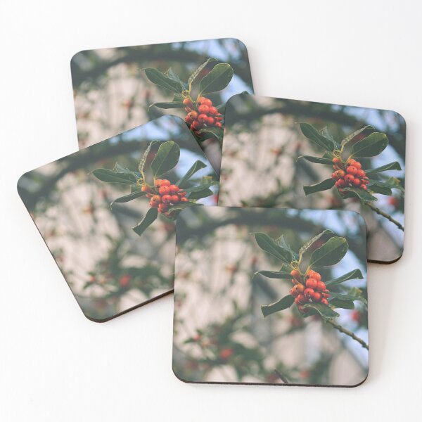 Item preview, Orange autumn berries with green leaves on a twig - Photography designed and sold by greatnorris.