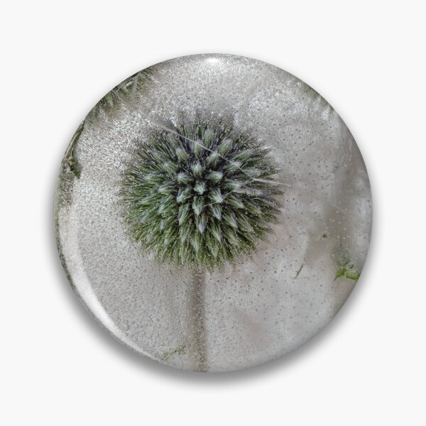 Item preview, Globe Thistle Flower Heads designed and sold by Phil Buckle.