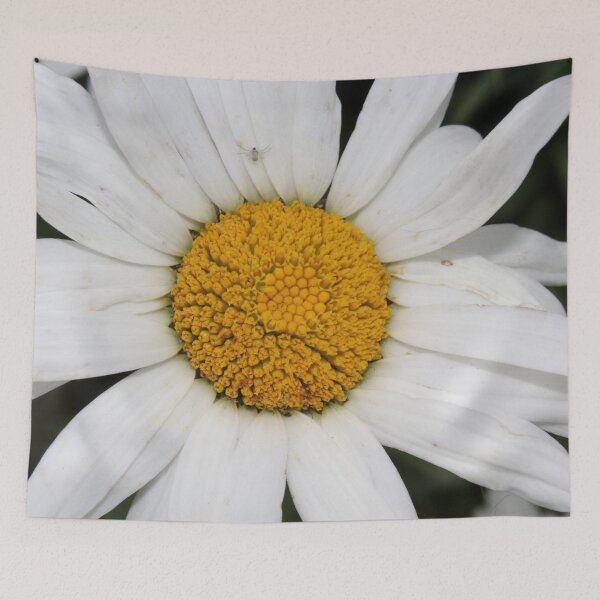 Item preview, Daisy with Spider designed and sold by Bobtherandomcat.