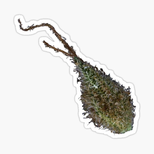 Zombie Kush Bract (Sticker/Magnet) Sticker