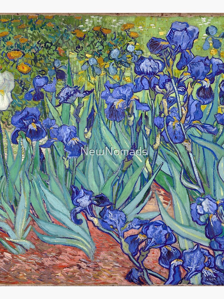 Van Gogh - Irises by NewNomads