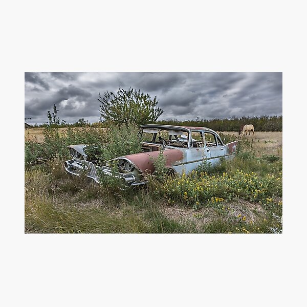 Prairie Weeds Photographic Print