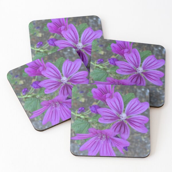 Item preview, Dwarf mallow (Malva pusilla) designed and sold by eden1472.