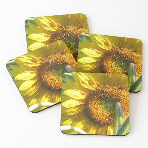 Item preview, Garden Sunflower 1 designed and sold by michaelangelo56.