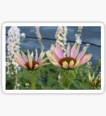 Echinacea Blossoms Sticker