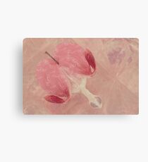 Bleeding Heart Macro - Musical Canvas Print