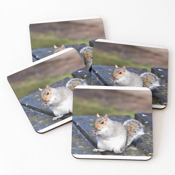 Item preview, A cute squirrel in Mersey Island, Colchester designed and sold by PhotoCDesign.