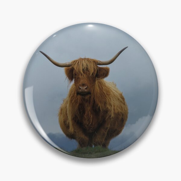 Item preview, Highland Cow On A Hill designed and sold by rawshutterbug.
