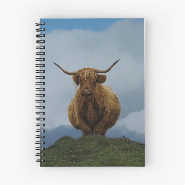 Item preview, Highland Cow On A Hill designed and sold by rawshutterbug.
