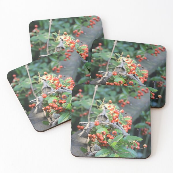 Item preview, Orange autumn berries in a ray of sunlight - Photography designed and sold by greatnorris.