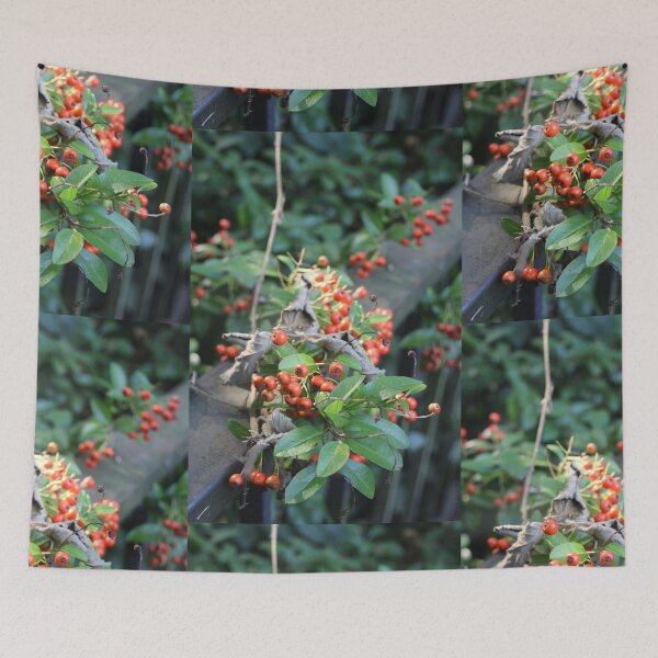 Item preview, Orange autumn berries in a ray of sunlight - Photography designed and sold by greatnorris.