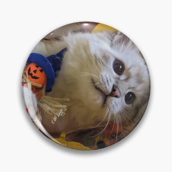 Item preview, Saoirse the ragdoll princess designed and sold by Fluffycat2020.