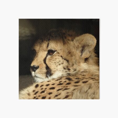 Item preview, VIENNESE CHEETAH designed and sold by RachelMacht.
