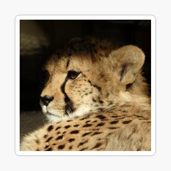 Item preview, VIENNESE CHEETAH designed and sold by RachelMacht.