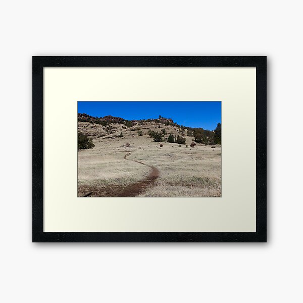 Yahi trail - Upper Bidwell park Chico, CA Framed Art Print