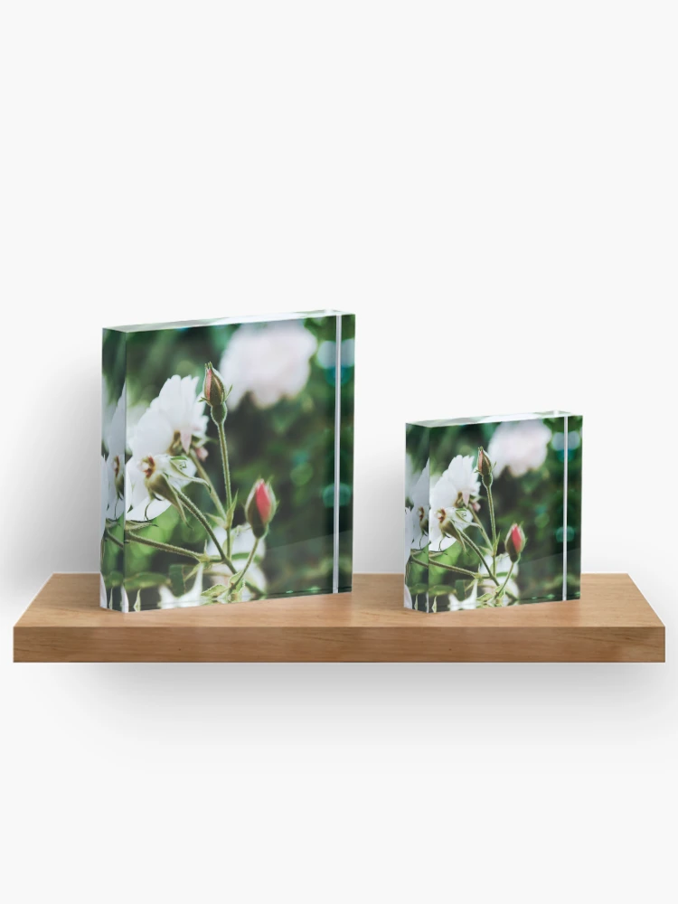 Thumbnail 3 of 5, Acrylic Block, Spring Roses Flowers designed and sold by Spring-Flower-.