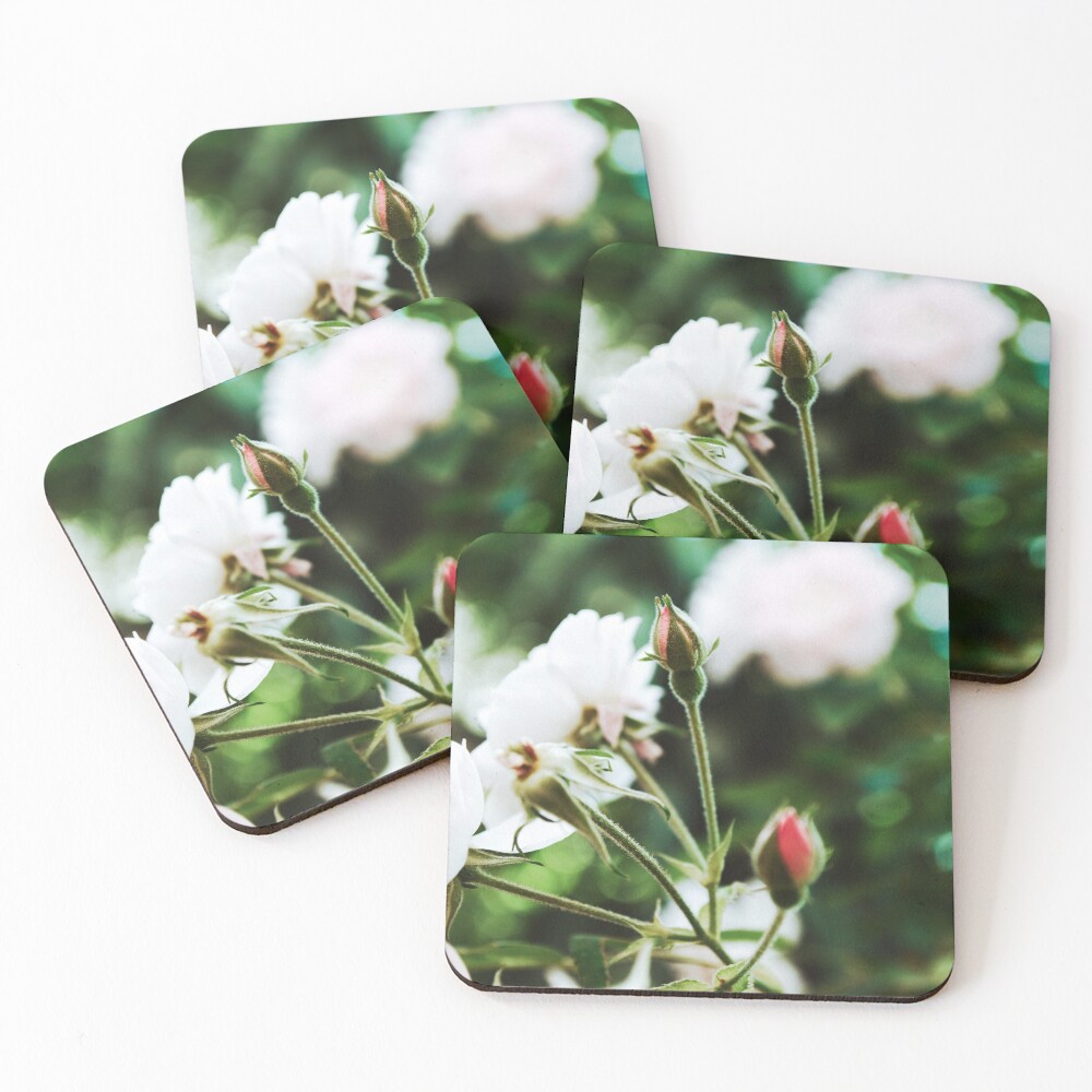 Item preview, Coasters (Set of 4) designed and sold by Spring-Flower-.