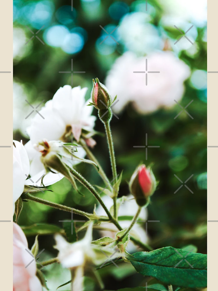 Thumbnail 4 of 4, Relaxed T-Shirt, Spring Roses Flowers designed and sold by Spring-Flower-.