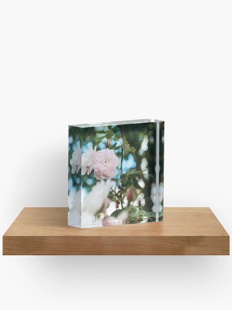 Thumbnail 2 of 5, Acrylic Block, Spring Roses designed and sold by Spring-Flower-.