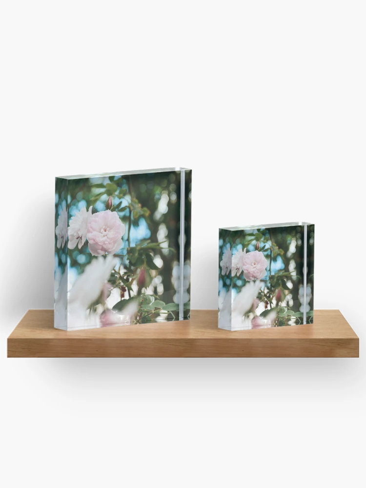 Thumbnail 3 of 5, Acrylic Block, Spring Roses designed and sold by Spring-Flower-.