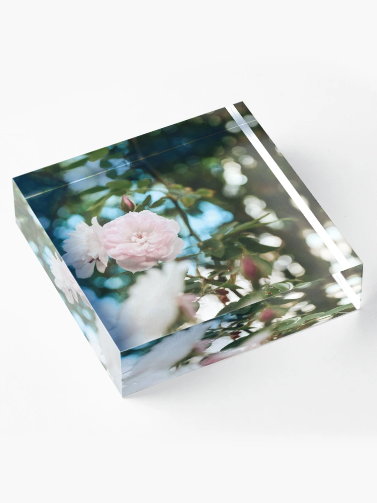 Thumbnail 4 of 5, Acrylic Block, Spring Roses designed and sold by Spring-Flower-.
