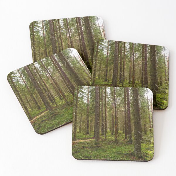 Item preview, Sunlight in a wet spruce forest  designed and sold by yarvin13.