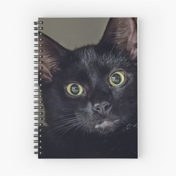 Item preview, A Home for the Holidays?... Licorice designed and sold by Owed To Nature.