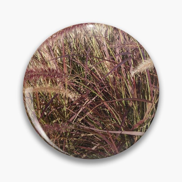 Aperçu de l'œuvre Photo d'herbe rose de plage créée et vendue par anna0711.