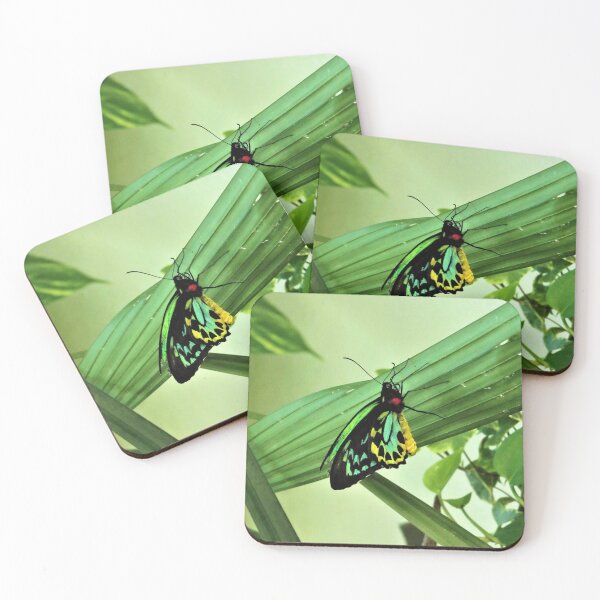 Item preview, Queen Alexandra's birdwing designed and sold by tomeoftrovius.